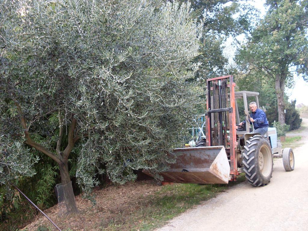אימולה Agriturismo La Marletta מראה חיצוני תמונה